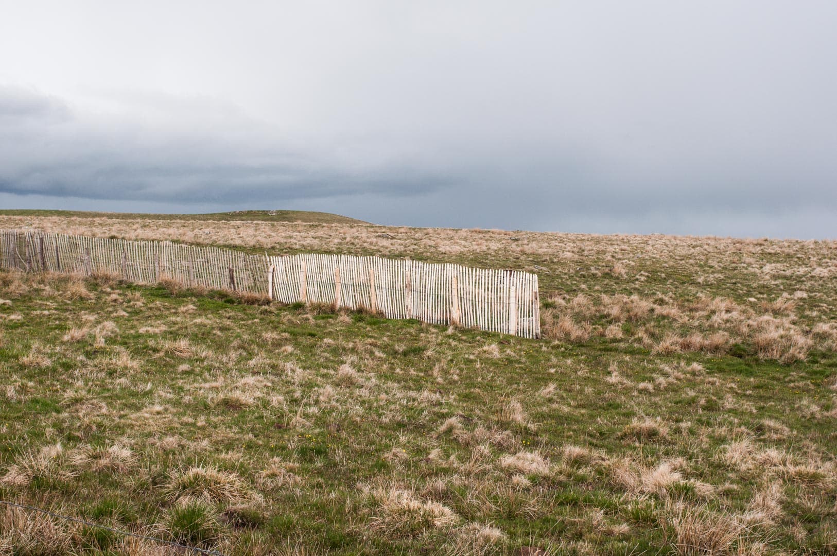 Landscape — photographie argentique noir et blanc, Divers (2009–2012), photo 8/19