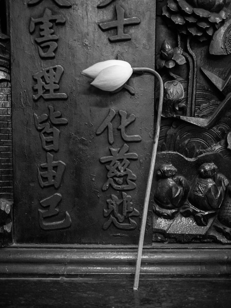 Vietnam — photographie argentique noir et blanc, Vietnam (2012), photo 3/20